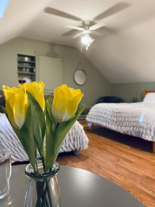 Quay Lane Studio Apartment Ballina  Bagian luar foto